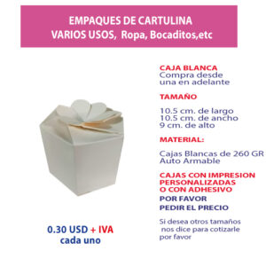 2.03 Caja blanca 10.5*10.5*9