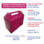 20.5X10.7X13.5-CAJA-LONCHERA-SIN-VENTANA-FUCSIA