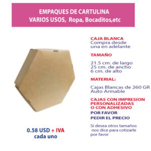 2.13 Caja 21.5*25*6 respaldo café sin ventana