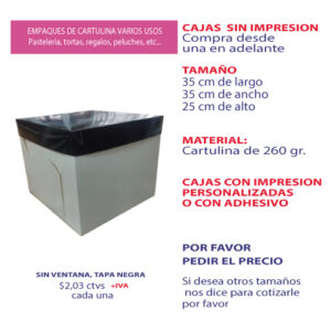 0.13 35*35*25 Caja Blanca sin Ventana con Tapa color Negro