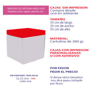 0.06 35*35*35 Caja Blanca sin Ventana y Tapa color Negro