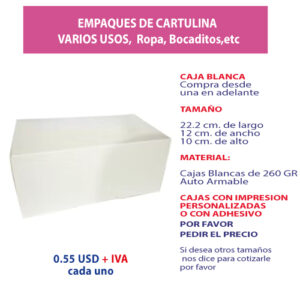 2.42 Caja 22.2*12*10 blanca sin ventana