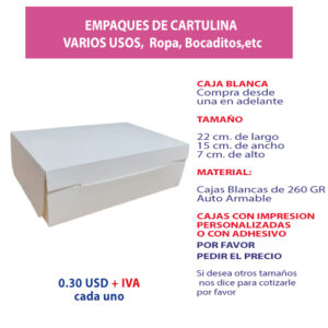 3.11 Caja 22*15*7 blanca sin ventana