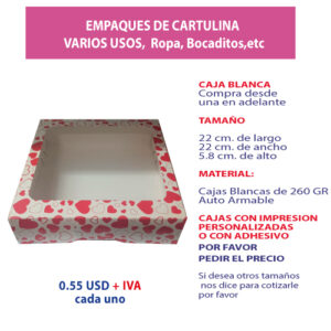 3.60 Caja 22*22*5.8 impresión genérica con ventana