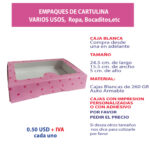 24.5×15.5×5-rosada-cv