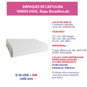 3.34 Caja 31x20x6 blanca sin ventana