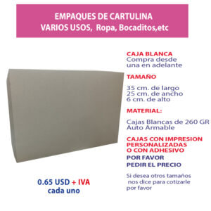 3.30 Caja 35*25*6 blanca sin ventana