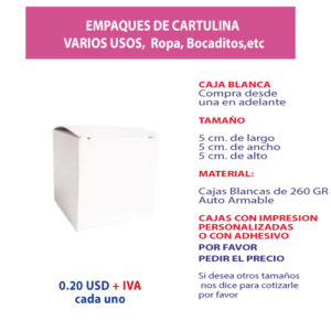 4.43 Caja 5*5*5 blanca sin ventana
