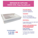 CAJA-17X24.5X5-CV