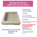 CAJA-22X22X5.8-ENCERADA-CV