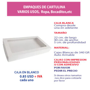 3.84 Caja 22*40*5 blanca con ventana