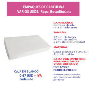 3.85 Caja 22*40*5 blanca sin ventana