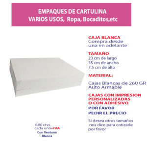 3.05 Caja 23*35*7.5 blanca sin ventana