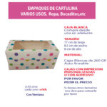 caja-17×8.5×8-puntos