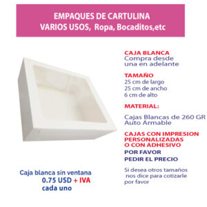 3.36 Caja 25*25*6 blanca con ventana