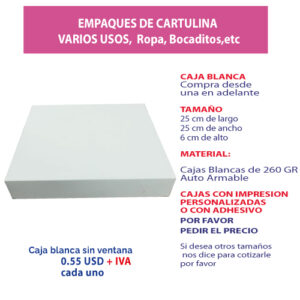 3.39 Caja 25*25*6 blanca sin ventana