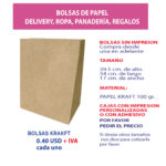 BOLSA-39.5X34X17